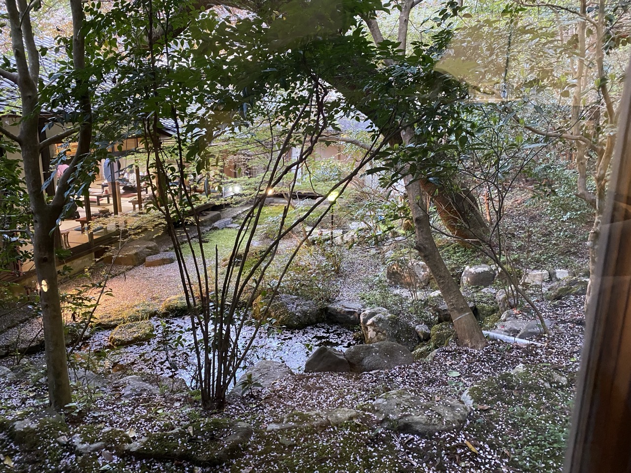 The view from our room in the ryokan. It’s a woodland with a little pond