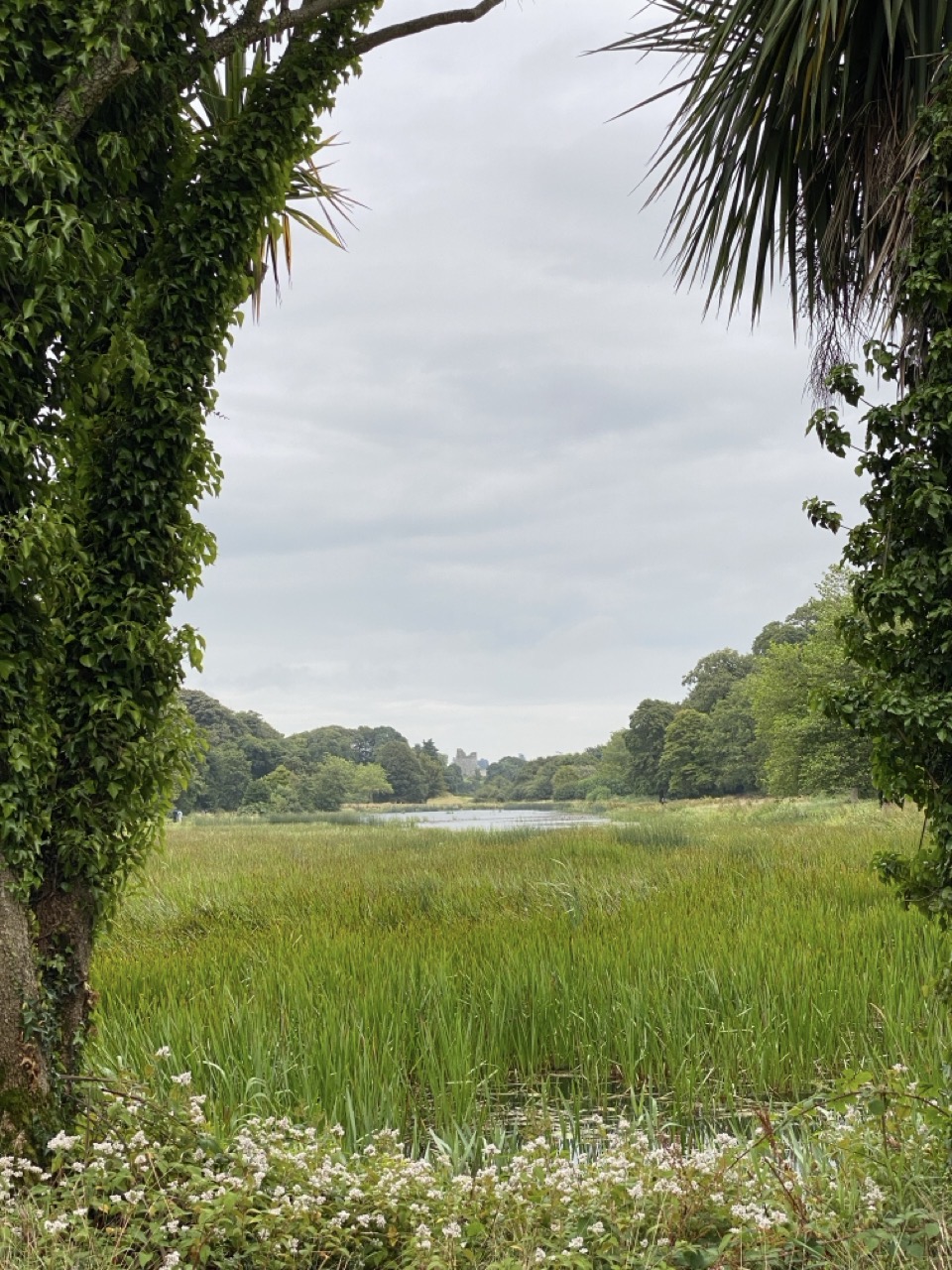 The view across Temple Water down towards the castle where they filmed Game of Thrones.