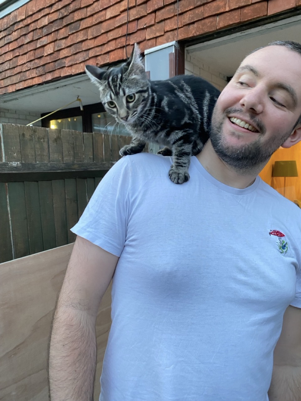 The cat on my shoulder. I decided his name is Salami.