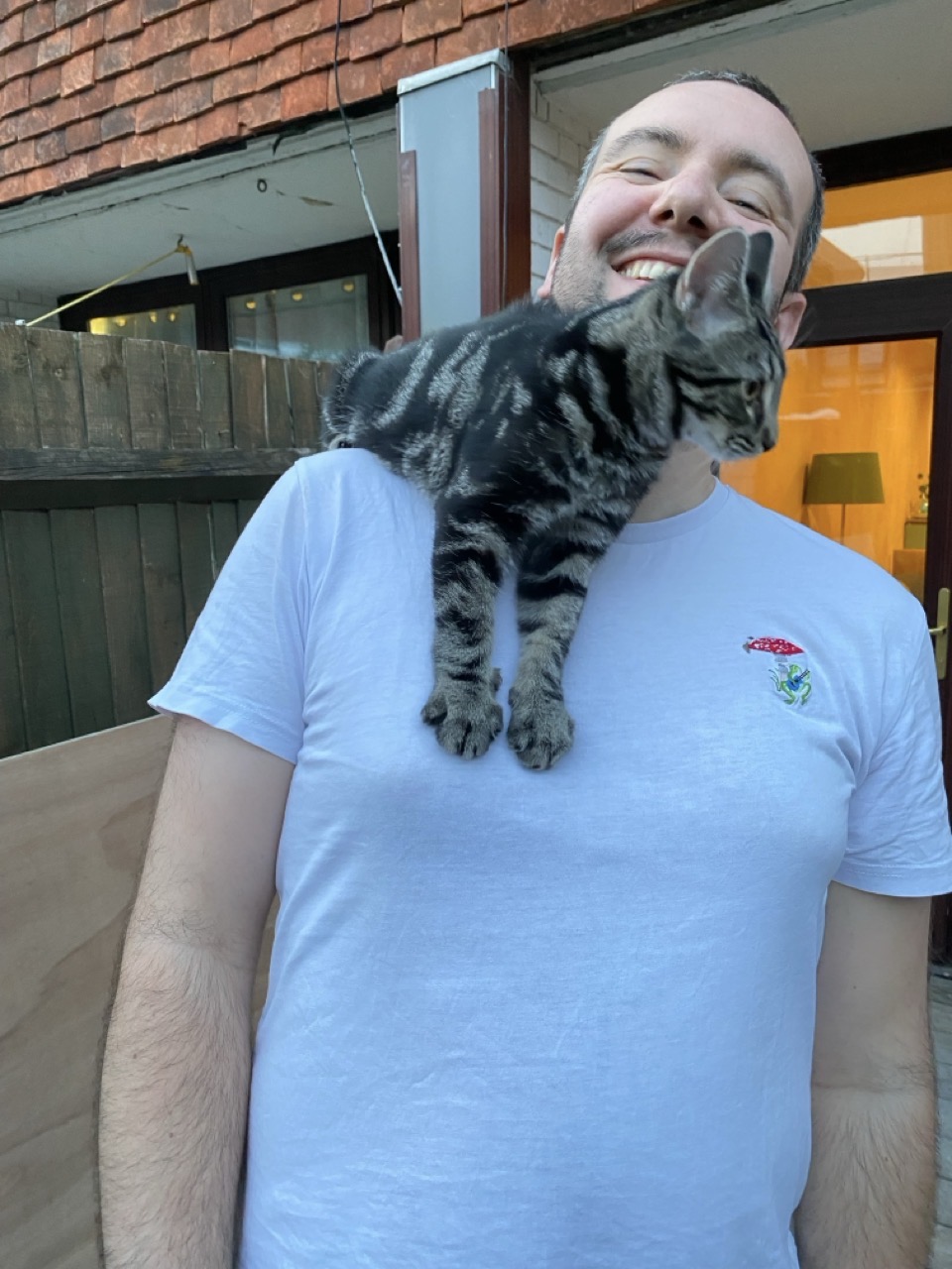 The cat on my shoulder in a slightly less convenient position.