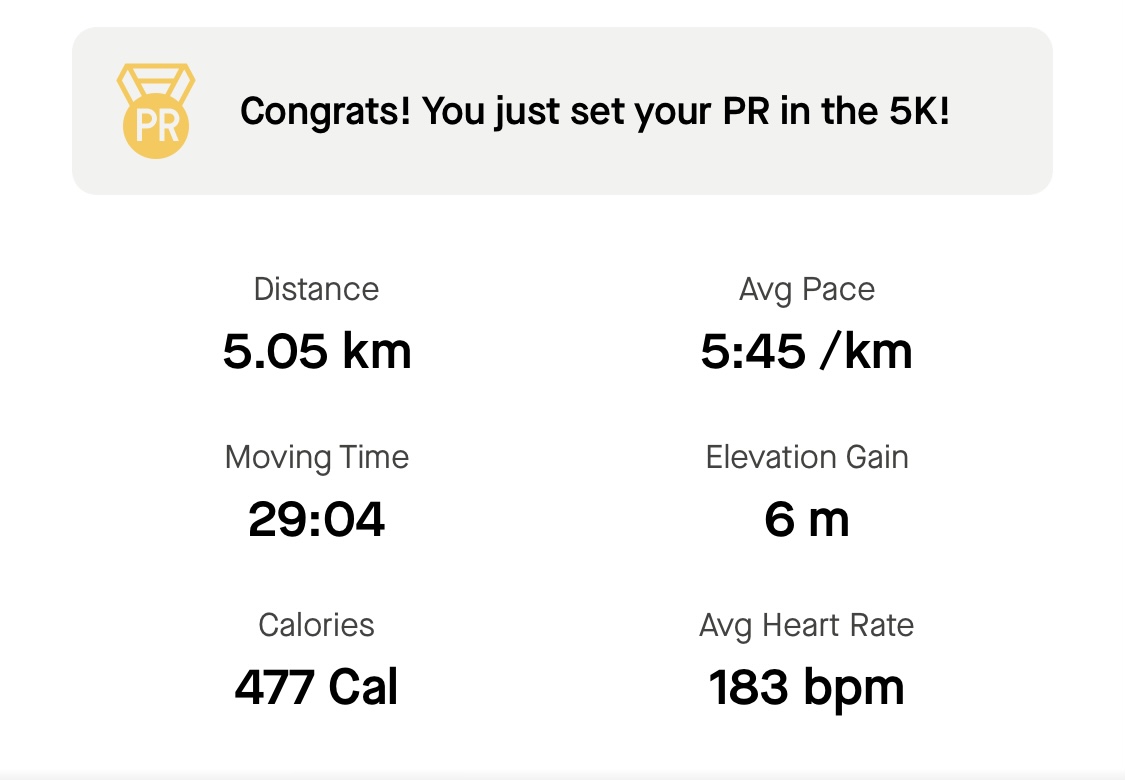 A Strava screenshot showing 5.05km in 29:04.