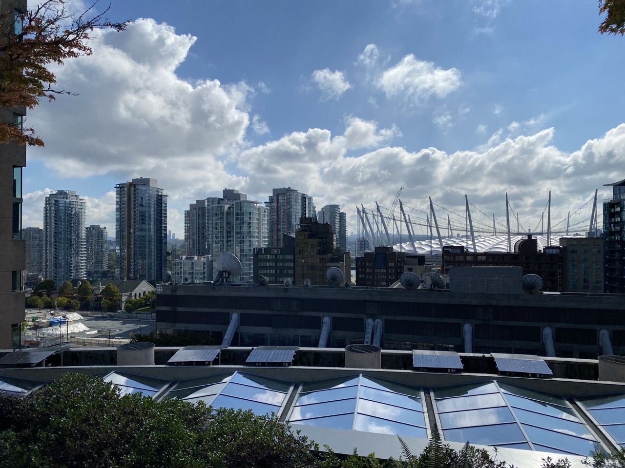 The view to the stadium from the roof of the library.