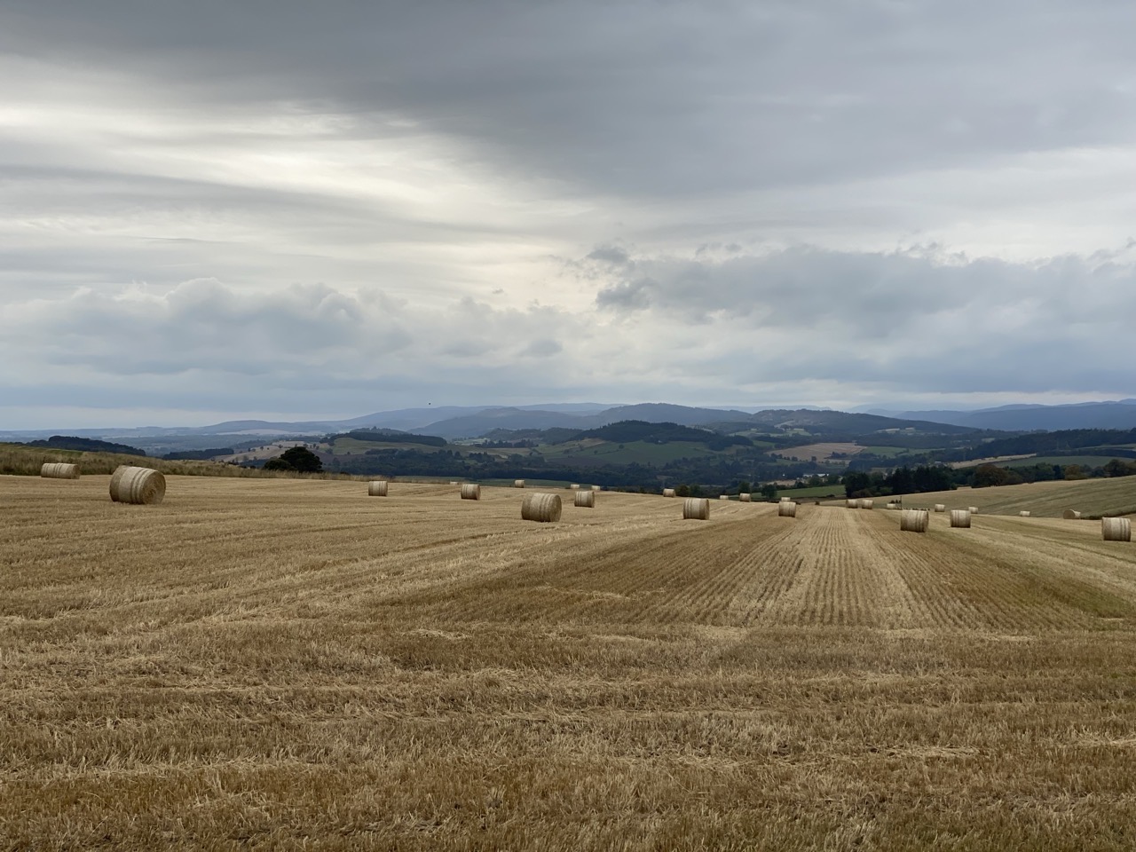 Hay bales in a big field under a big wide sky.