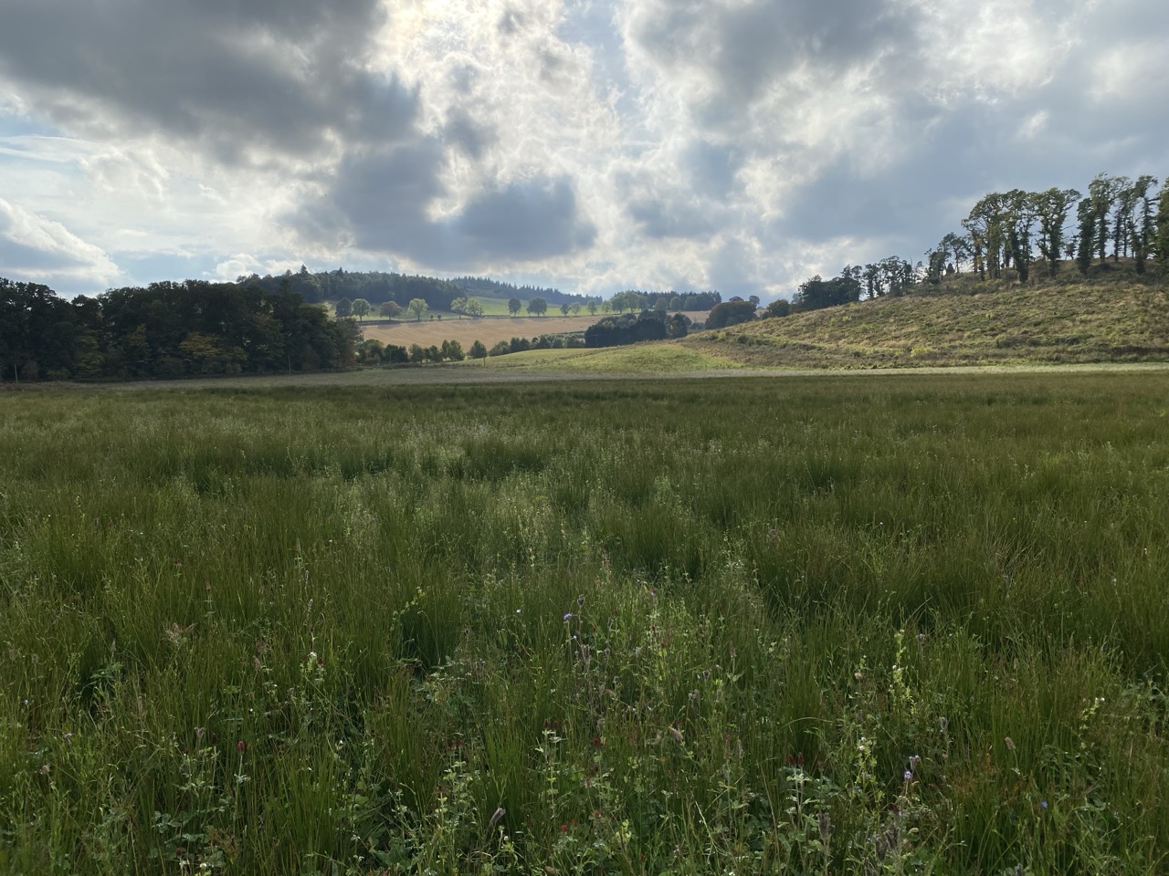 A boggy field and a gorgeous sky.