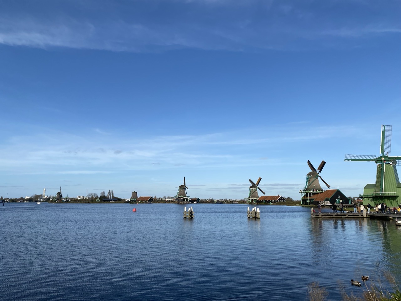 Windmills by the water