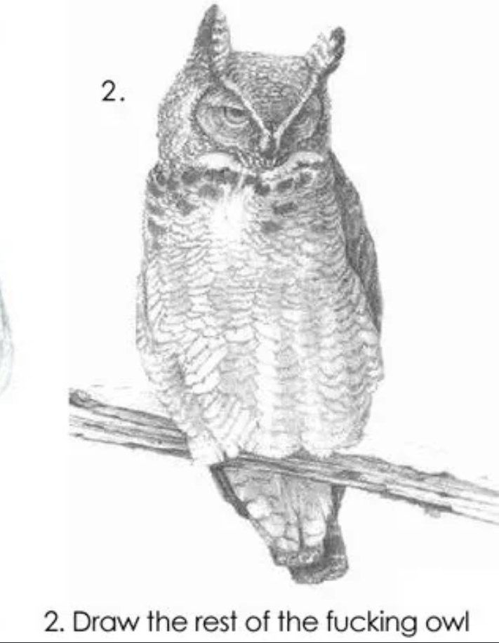 Draw the rest of the fucking owl