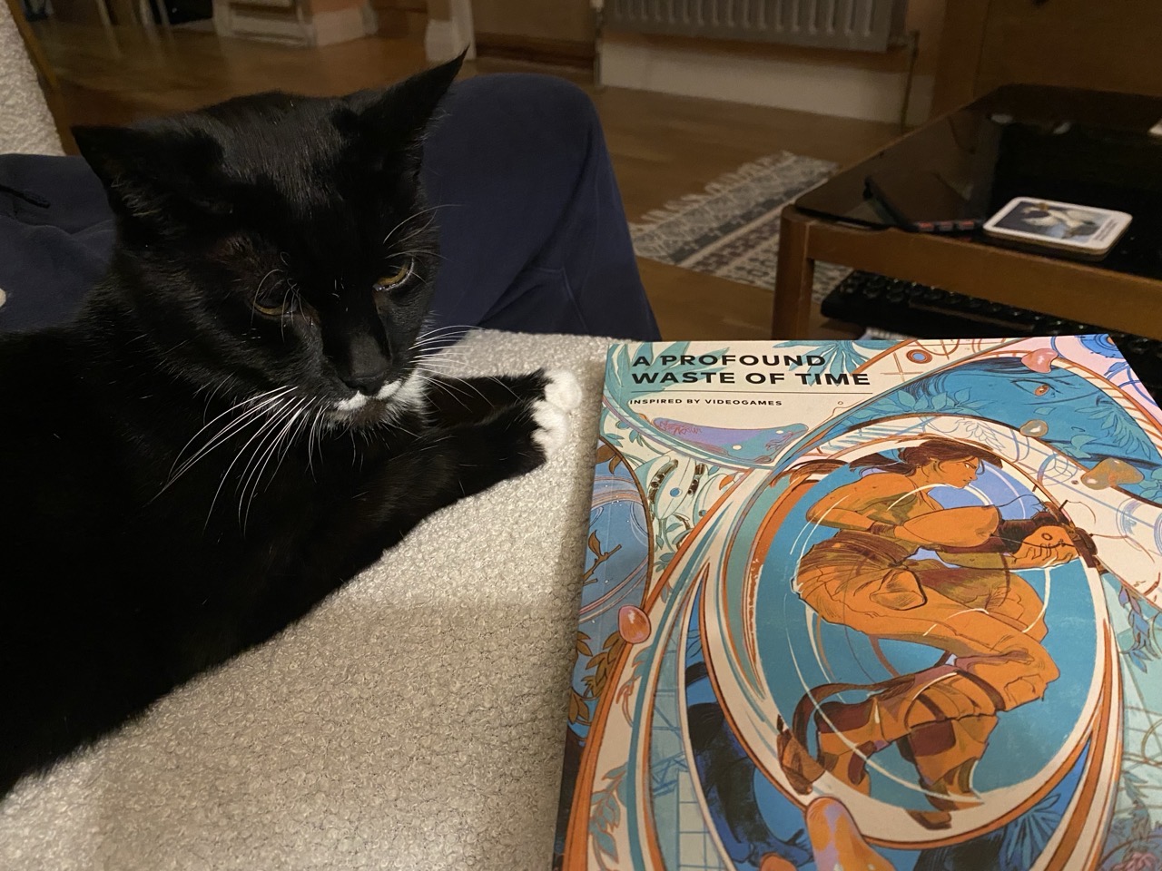 A black cat sitting next to the latest issue of APWOT.