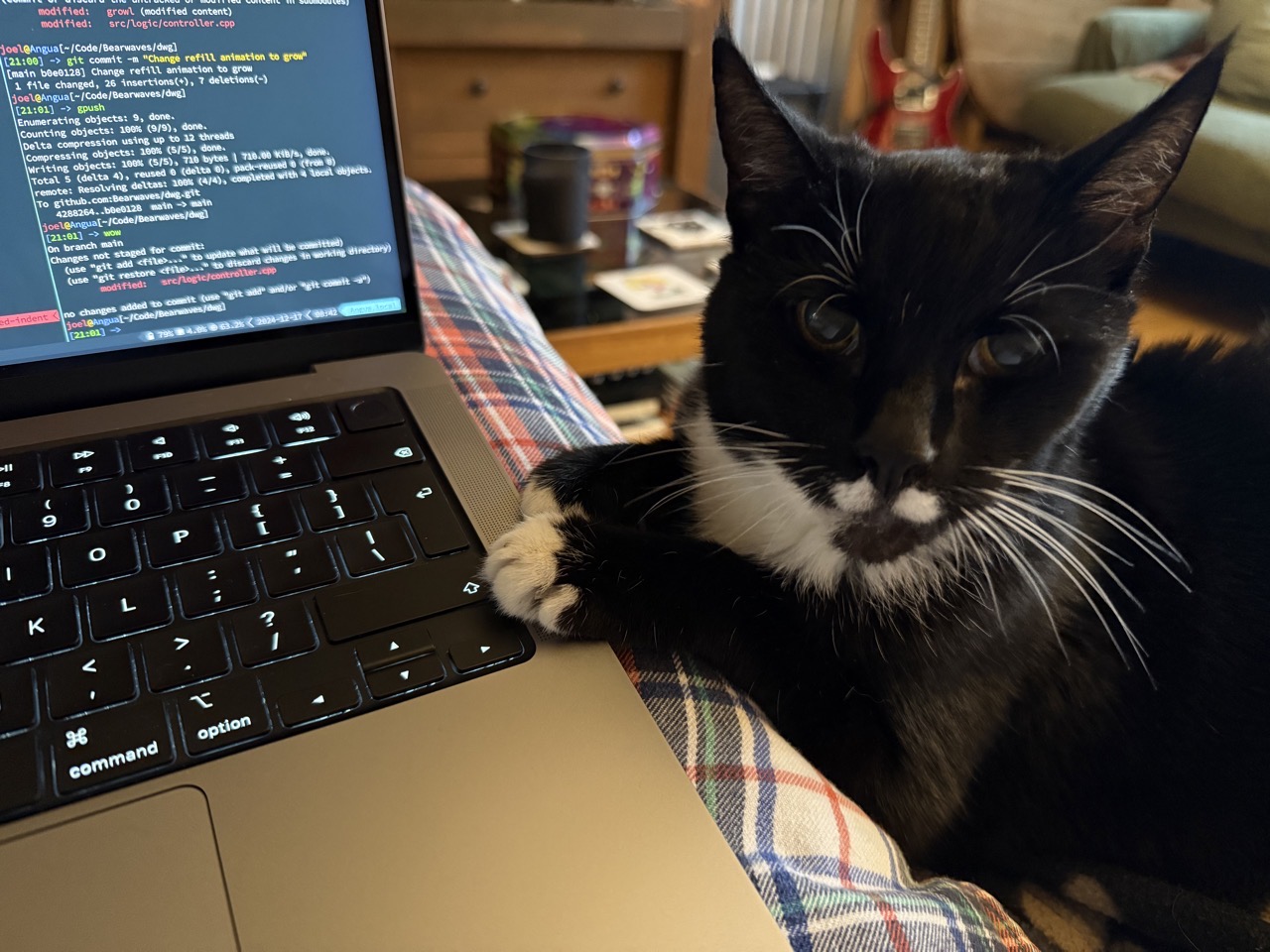 A tuxedo cat sitting with her front paws on the keyboard of an open laptop.