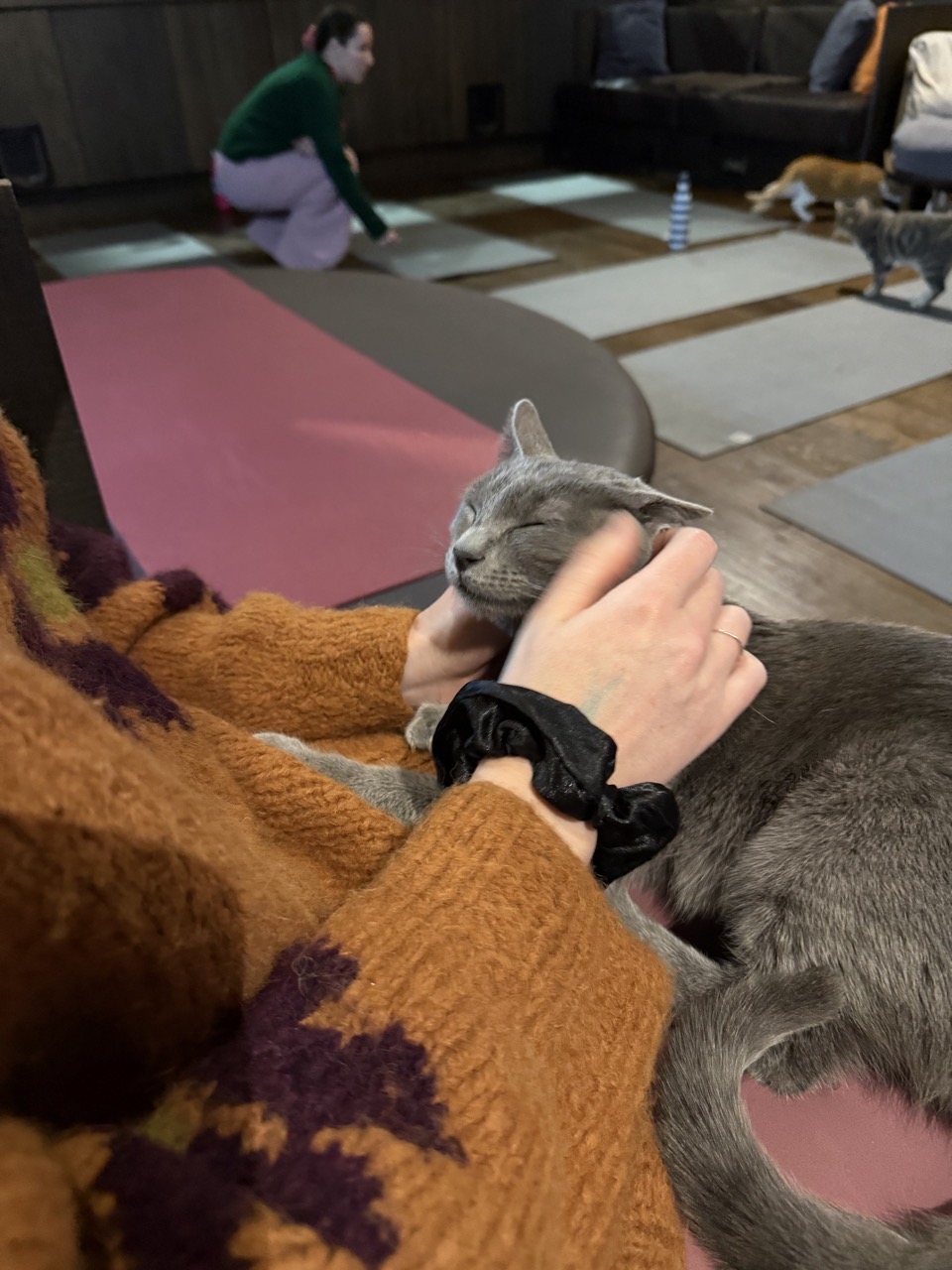 Lucy giving face scritches to a little grey cat. We called her Yarrow.