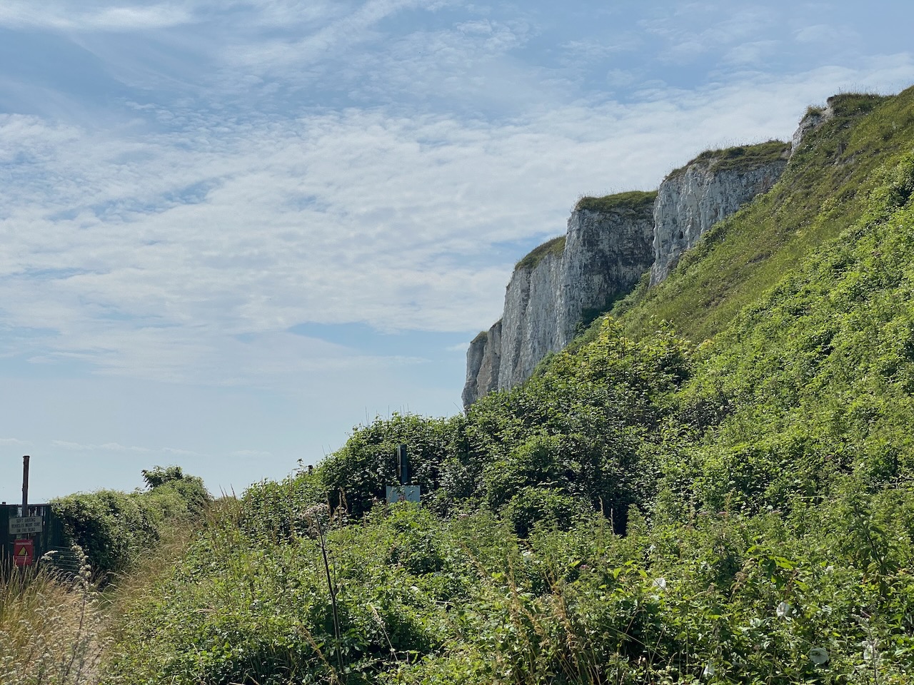 The first view of white cliffs poking above the trees.