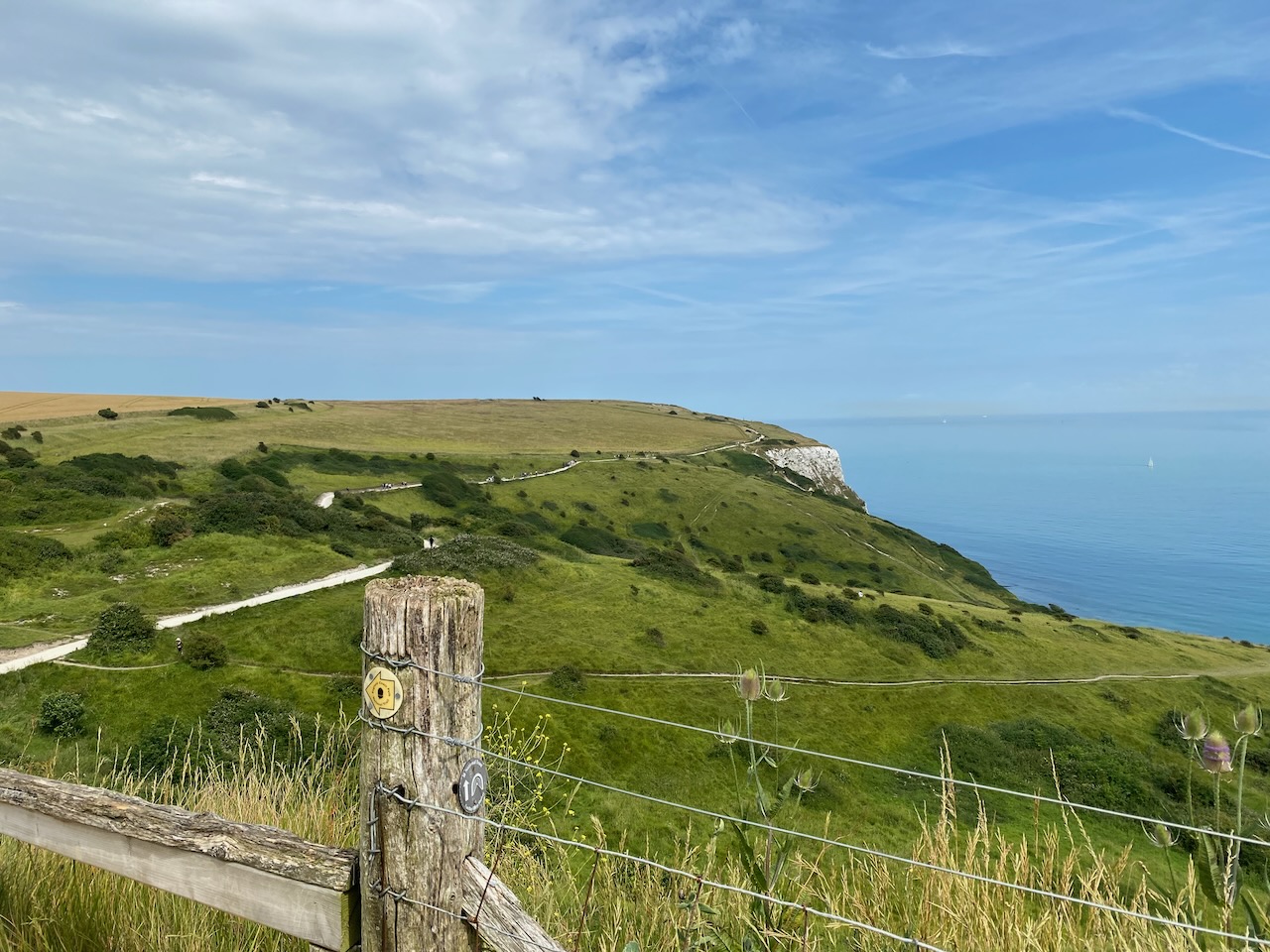 The view back along the clifftops; green grass and white chalk.