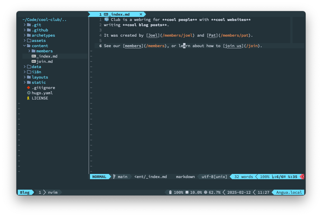 A screenshot of Neovim